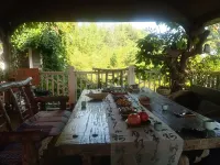 Weihai Yunzai B&B (International Seaside resort Pier Store) - servizio colazione