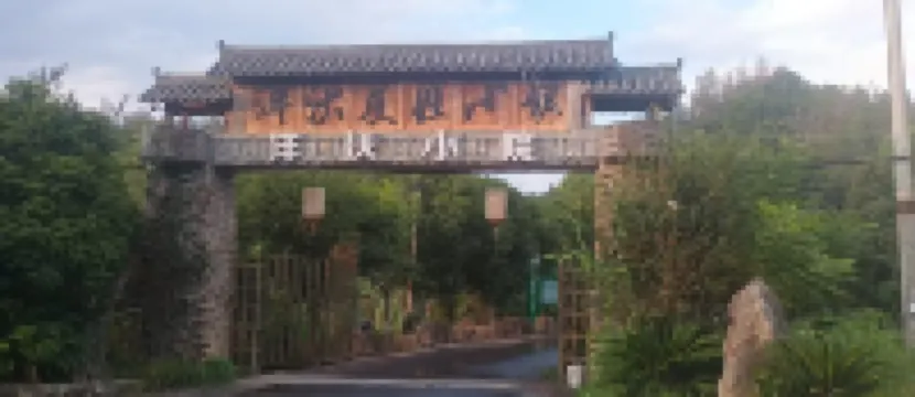 Yangwo Courtyard Homestay