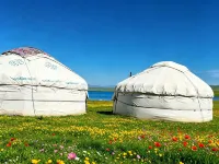 Mountain Lake Flower Sea · Sayram Lake Panoramic Homestay - 공항 셔틀버스
