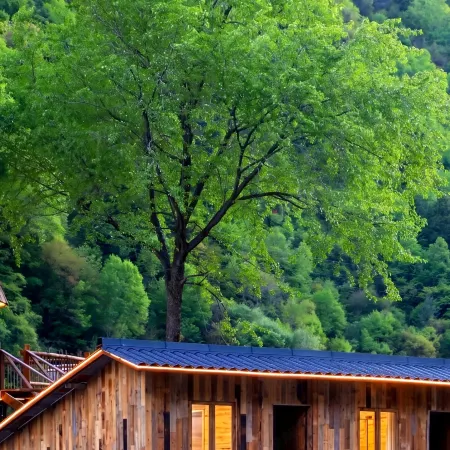 Chasing Mountains · Starry Wild | Senbo Wild Fun Resort (Litiaolou Branch, Bipingou Scenic Area)