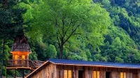 Chasing Mountains · Starry Wild | Senbo Wild Fun Resort (Litiaolou Branch, Bipingou Scenic Area) - Airport Shuttle
