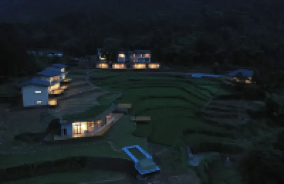 Stray Birds Hotel