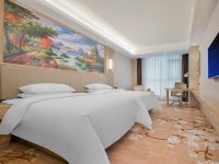维也纳国际酒店(百色乐业店) - 商务双床房