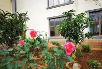 Honghe Business Hotel