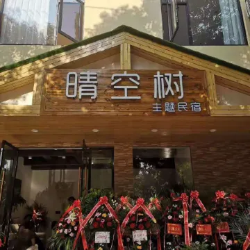 Xiaogan Qingkongshu Themed Homestay