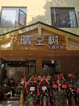 Xiaogan Qingkongshu Themed Homestay