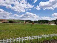 Changchun Guosetianlian Cultural Activity Center Hotel Hoteles en Changchun