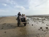 Xuwen Antarctic Lixuan Homestay