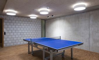 Saanen Gstaad Youth Hostel