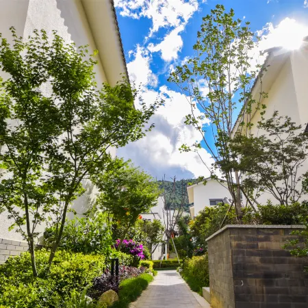 Dali Villa