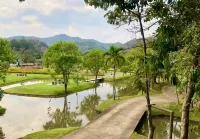 Treescape Mountain View Resort Chiang Mai - Scenic