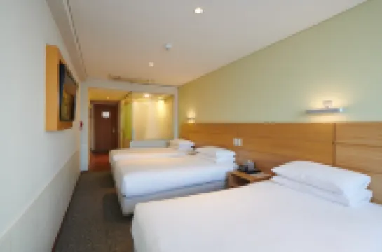 NINE TREE BY PARNAS SEOUL MYEONGDONG 1