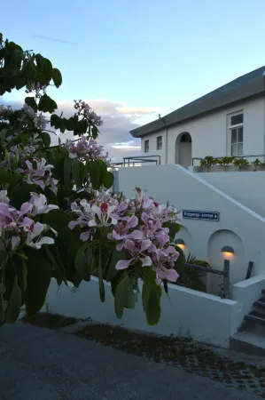 Whale Tails Hotel Отели в г. Ораньестад