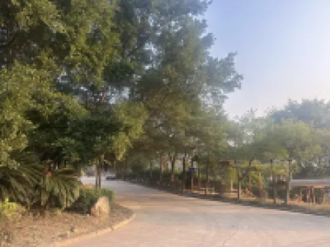 Hot Spring Forest Holiday Hotel