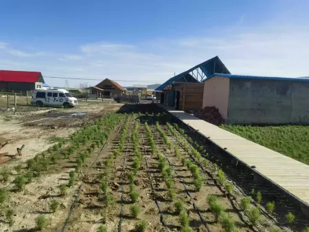 Burqin Fange Homestay Отели рядом с Аэропорт Канас