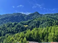 Wankelai Farm Stay (Tianchi Scenic Area) - غرفة مطلة على الجبل