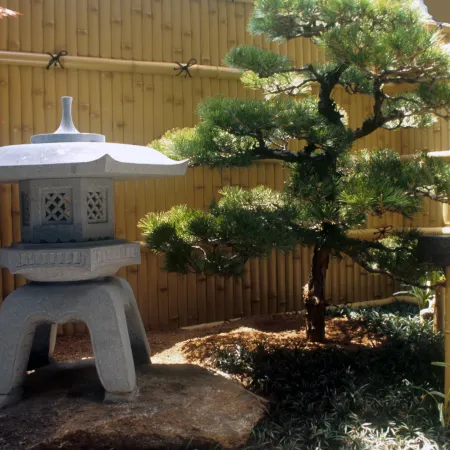 Nakagawa Cozy House