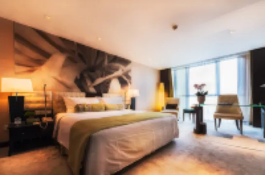 北京國家會議中心大酒店