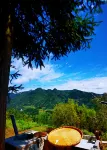 Yard Homestay