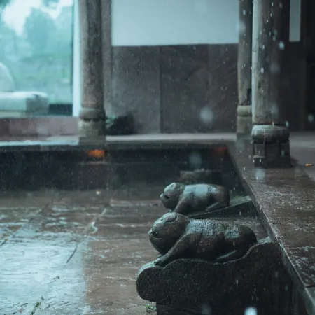 Suining Tong'an Dushui B&B