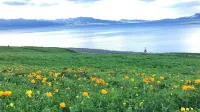 那拉提·山田半畝·民宿（那拉提草原店） - 廚房