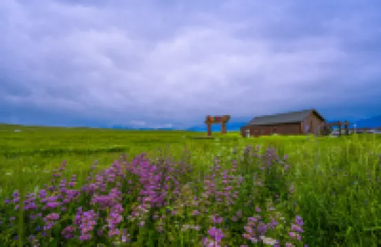 Kala Junwu Sun Xiadu Wild Luxury Hotel