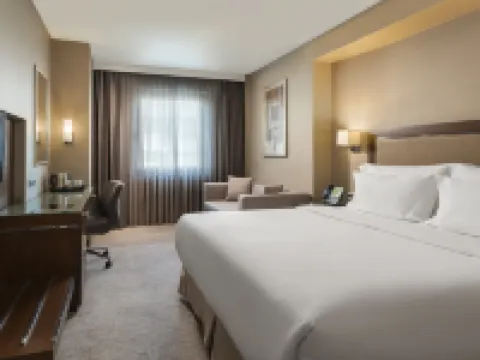 オクシデンタル アンカラ アンカラのホテル