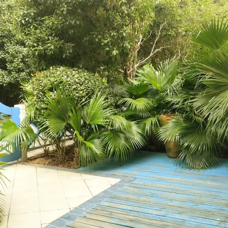 Xinyu Color Village Leisure Homestay