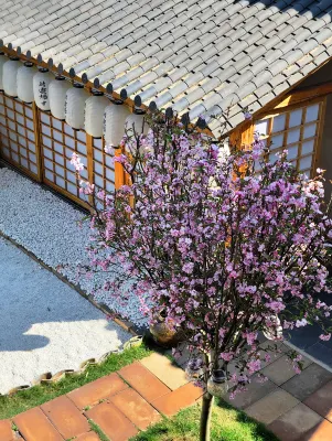 Pianyungui Boutique Homestay Отели рядом с достопримечательностью «Yunnan Vocational and Technical College of Agriculture Multi-media Classroom (Three)»
