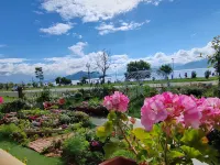 瀘沽湖水岸花宿客棧