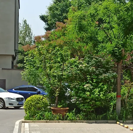 Cattle Village Hotel