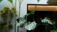 WeLight Zhuguang Hostel (Baihua Shenchu Hutong Branch)