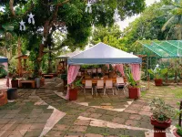 Nicole's Garden Naga