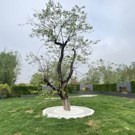 Wujia Xiaoyuan Hotel Homestay