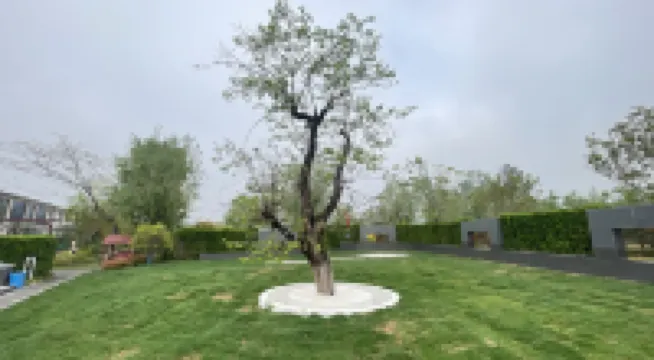 Wujia Xiaoyuan 77 Homestay