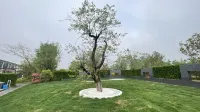 Wujia Xiaoyuan 77 Homestay
