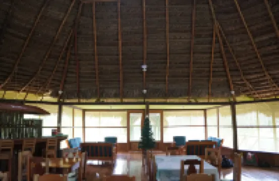 Grand Amazon Lodge and Tours - All Inclusive - バー