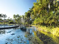 Oaks Sunshine Coast Oasis Resort - Beach