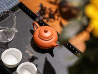 济南奥龙静庐酒店 - 禅语双床房