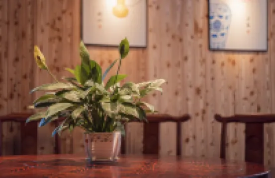 資興湘南水藴精品客棧