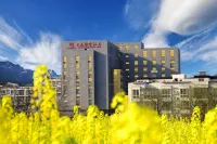 Jingkang International Hotel Các khách sạn ở An Khang