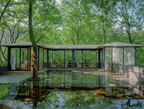 Zunbo Forest Vacation Apartment (Qingcheng Mountain Scenic Area)