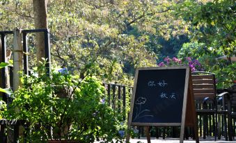 Shanglin Return in Mountain