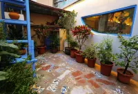 Kashgar  Adenium obesum B&B