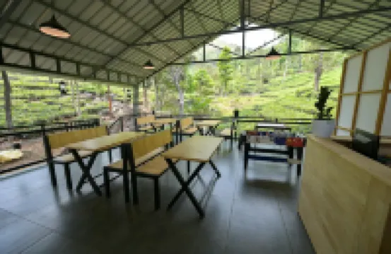 Vythiri Tea Valley I Best Hotel in Wayanad l Hotels in Vythiri Wayanad