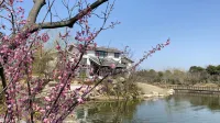 Rugao Huazhuang Ecological Park