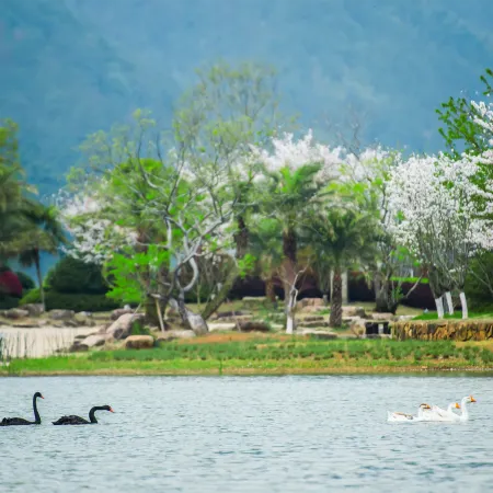 QuZhou ShuiYunJian The Dragon Resort Hotel