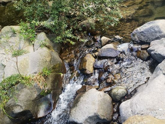 嵊州祥瑞·溪隱民宿優惠