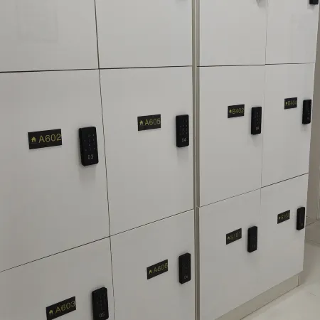 Haise Youth Apartment (Shenzhen Baishizhou Metro Stn, Int'l Mayors Exchange Ctr Branch)
