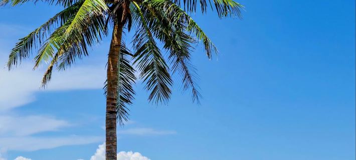 Encounter the coast theme apartment (century park Evergrande bund store) Hotels in Haikou